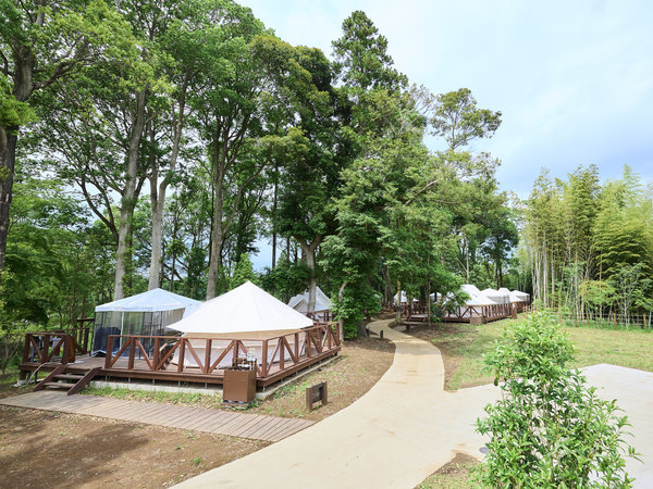 �y�O�����s���O�z�N���t/���4��