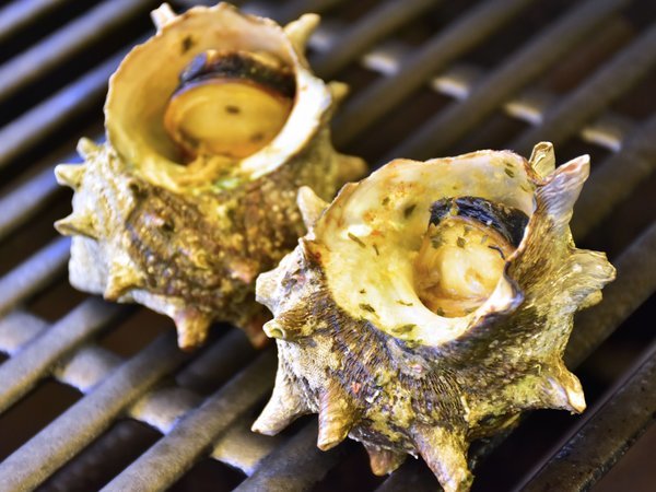 �ɓ��V���{�e�����B���b�W�@�O�����s���O�F�T�U�G�̃K�[���b�N�o�^�[�Ă�