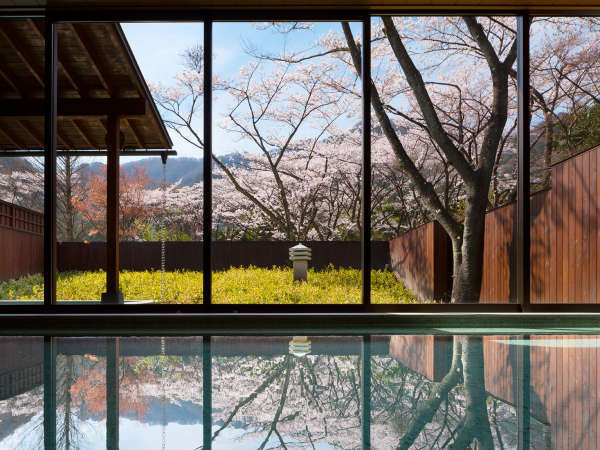 【大浴場イメージ】春は満開の桜を眺めながら花見風呂をお楽しみいただけます。