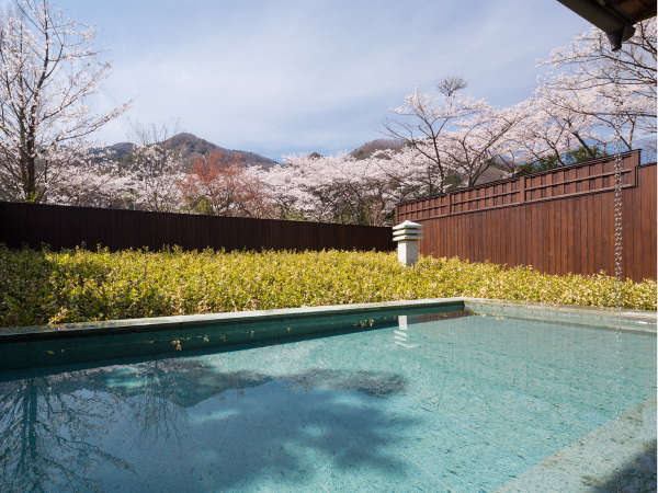 【露天風呂イメージ】春は満開の桜を眺めながら花見風呂をお楽しみいただけます。
