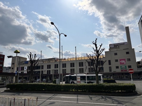 �z�e���G�R�m�Éw�O�F�Éw���������̍D���n