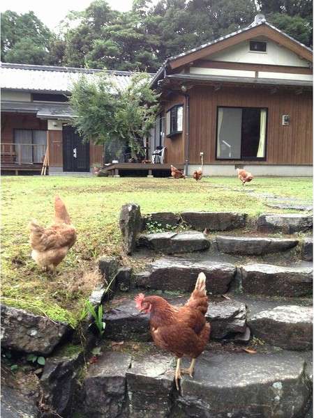 Farm inn Yonekichi