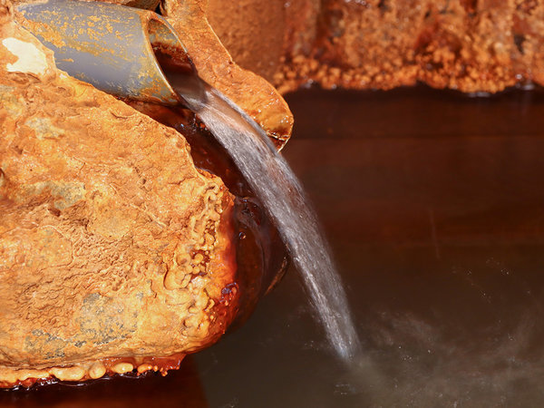 �I�܉���@���������̏h�@�����F�����C�̌���ł�