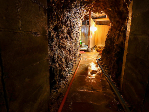 �I�܉���@���������̏h�@�����F���A���C�̒ʘH