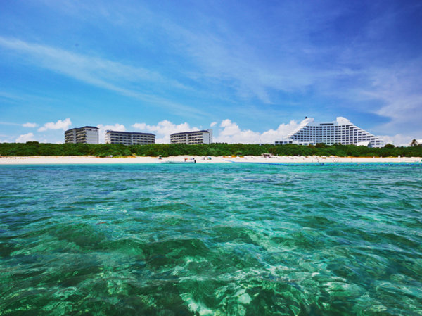 ANA�C���^�[�R���`�l���^���Ί_���]�[�gby IHG�̊O�ώʐ^