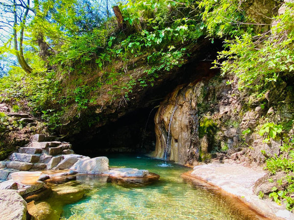 �y�V�R���A�I�V���C�z�V�R�̓��A�i�┧�j���牷�򂪗N���o���V���C�ł��i12������4���܂ŕ��j