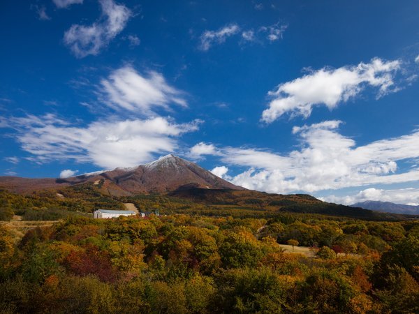 地域限定！星野リゾート磐梯山温泉ホテル宿泊 2名2泊 3月12日～14日限定 - 優待券/割引券