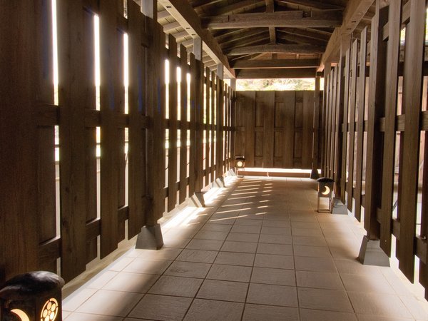 �q�����@�y��فF���a������x�b�h���[��