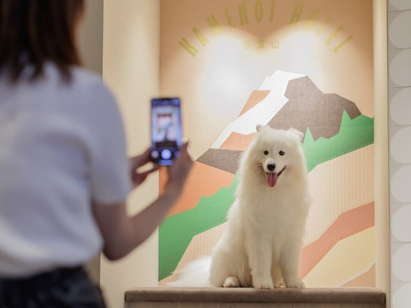 �h�b�O�t�����h���[���[���@�ʐ^�X�|�b�g�����p�ӂ��Ă���܂��B