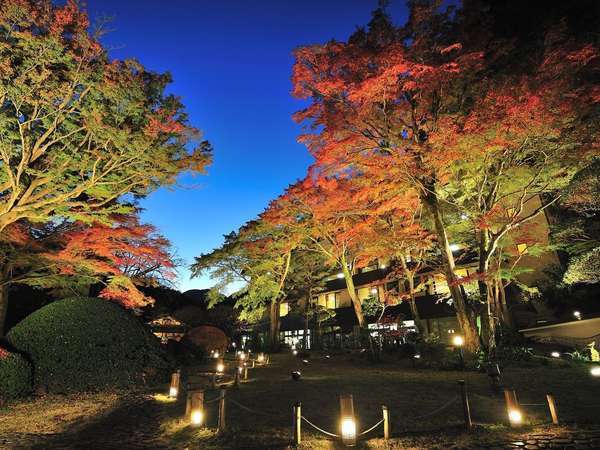 ygrفz{뉀uRvgr{|̏h