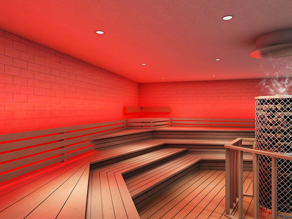 ��R�k�r���[�z�e���i�O�����x���z�e���Y�����]�[�c�j�F��2�e�`NATURE COLOR SAUNA�`�y12�������\��z