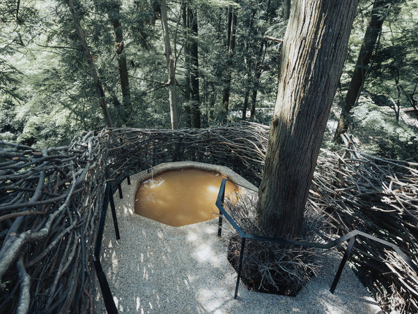 �y�R���{�E�f�E�I�E���z�c���[�n�E�X����I�V���C�A�L�n�����̎��R���y����Œ����܂�