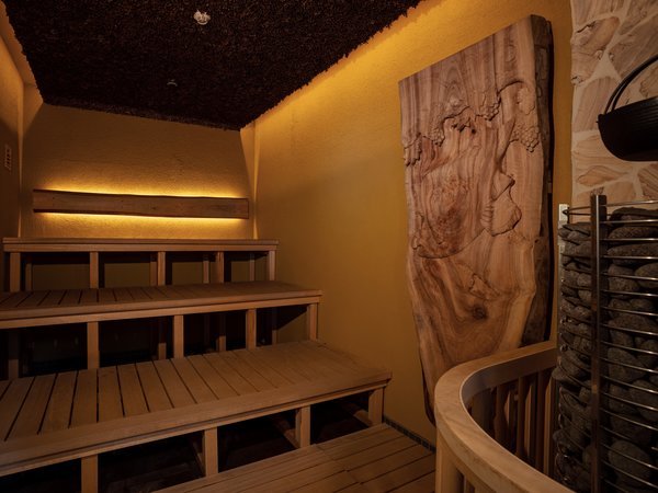 FTEi^2023NI[vBN}~錊qe[}ɂTEiłij