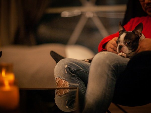 ���q�@���~��̏h�@��ܐ��F�����Ɖ߂����ЂƂƂ���