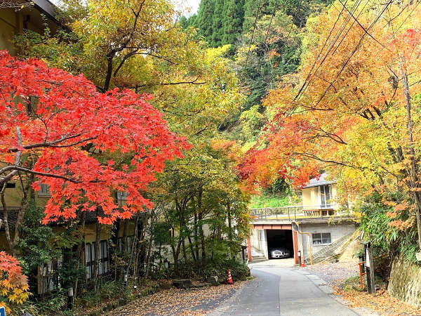 宝泉寺 ストア 温泉 ペット と 泊まれる