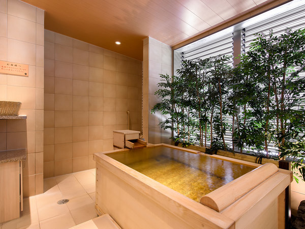 L�y�{��/68���ā`�z�a��13.5��{�w�̌��򎺓��I�V���C�t���i���j