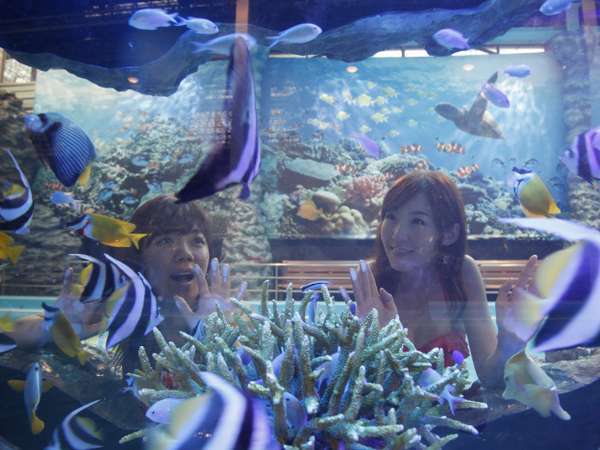 �X�p���]�[�g�n���C�A���Y�@�z�e���n���C�A���Y�F