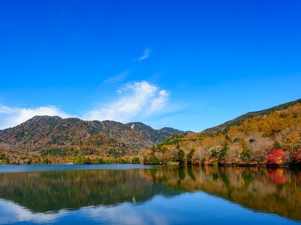 �T�̈�z�e�� �����������F�g�t�̓��m�΁@���z�e��������