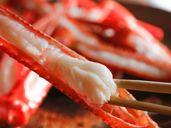 �y���Z�@���܂����@�D�̎��z�X/�P���Z�K�j���ց���i�I�C�Ɉ͂܂ꂽ���H�h�ŏ{�̖��o�𖞋i