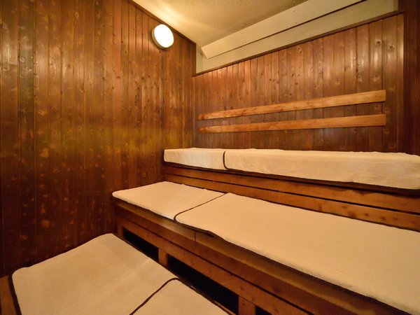 �V�R���򔒊��̓��@�h�[�~�[�C���эL�̎{�ݎʐ^2