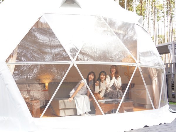 �h�[���e���g�̑傫�ȑ�����͑t�̐X�E�q�m�L�̐X���L����܂��B�X�̖��������Ȃ��ɂ��E�E���X�����邩���H