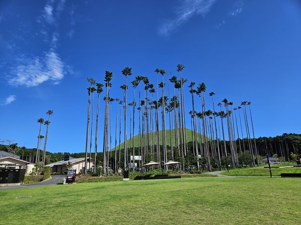 �O�����s���O�G���A�����O�ɂ���Ő��L��͎��R�Ɏg���܂��B�t���X�r�[�ɃL���b�`�{�[���ȂǁA�݂�ȂŗV��