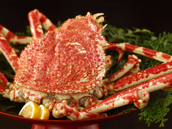 【ときわや】タカアシガニの名産地 海鮮と海の温泉宿【貸切家族風呂】