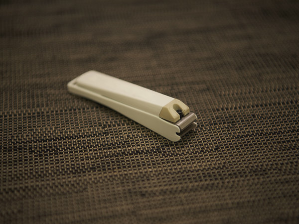 ���S�t���b�T�C���D�y�������́F���̑�