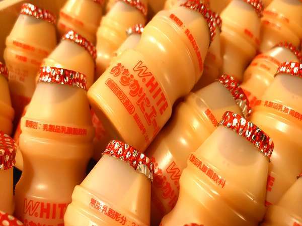 �V�R����@��؍��̓��@�h�[�~�[�C���O�O�F���������_�ۈ����T�[�r�X