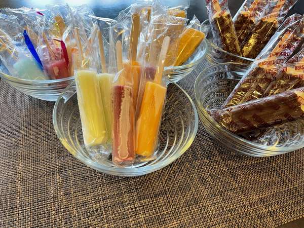 �V�R����@��؍��̓��@�h�[�~�[�C���O�O�F�������A�C�X�T�[�r�X