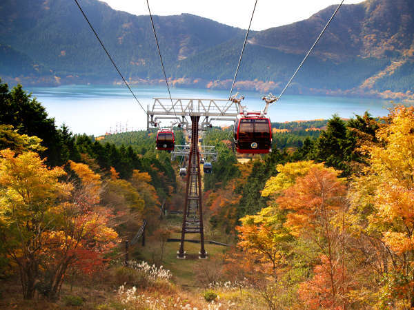 富士山を一望できる宿 ホテルグリーンプラザ箱根 宿泊予約は じゃらんnet