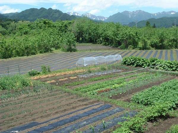 農園民宿かかし 宿泊予約は じゃらんnet