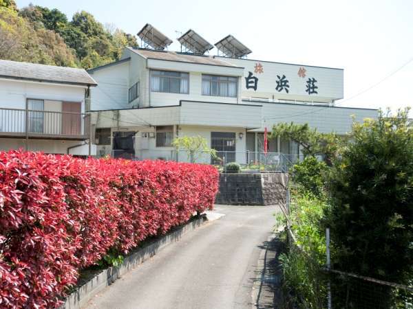 旅館 白浜荘 宿泊予約は じゃらんnet