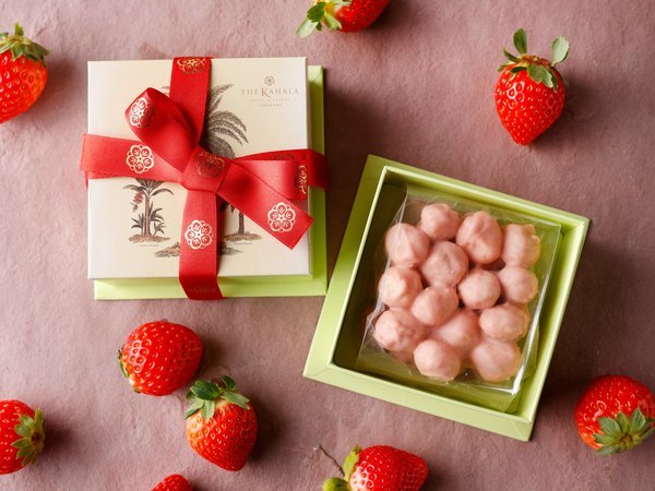 �}�J�_�~�A�i�b�c�`���R���[�g�@���܂��� �����ʌ���