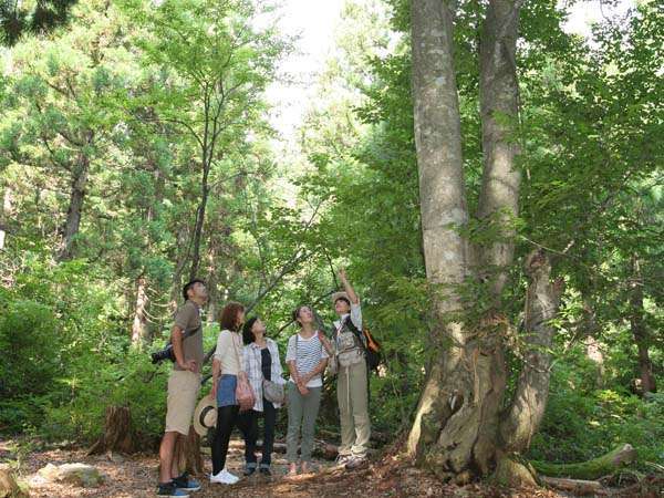 トヨタ白川郷自然学校 宿泊予約は じゃらんnet