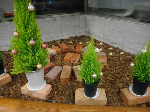 1�K���r�[��������