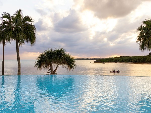 *�y�v�[���i���j�z