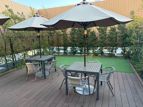 ������X�J�C�e���X