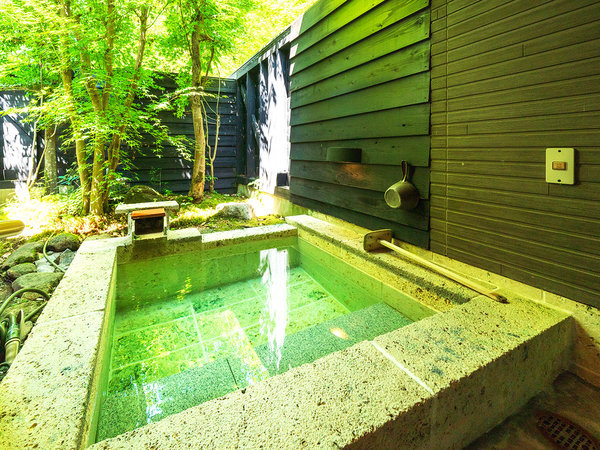 �yTypeA�z�ق̂��ȗ����L���Y���W���ΐF�ɂ��݂��邨����pH9.4�ȏ�̃A���J�����B