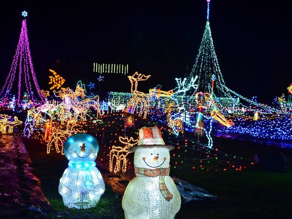 ���ܖ�@���̏h�@�R�̂������F���c�A���v�X���Â݂̌����@Winter Illumination 2025