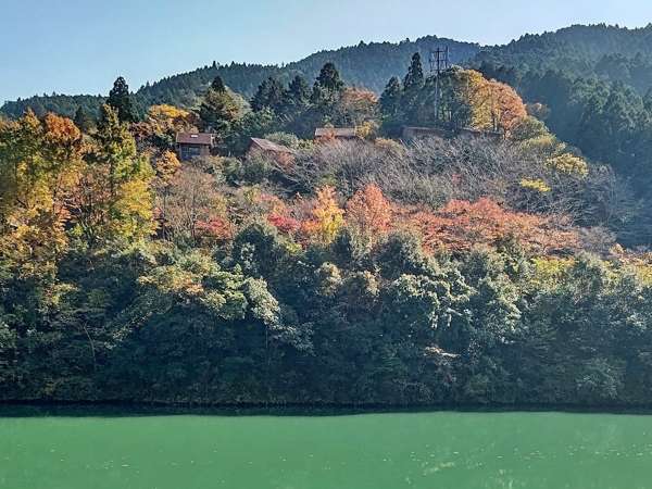 もみじ川温泉 セール シャンプー