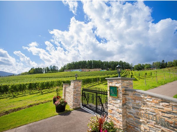 NIKI Hills Winery�̊O�ώʐ^