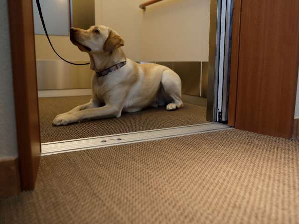 エレベーター段差や隙間が少なく、愛犬と安心してお乗り頂けます。