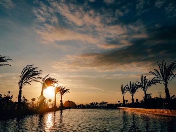 BOTANICAL POOL CLUB�FBLACK POOL