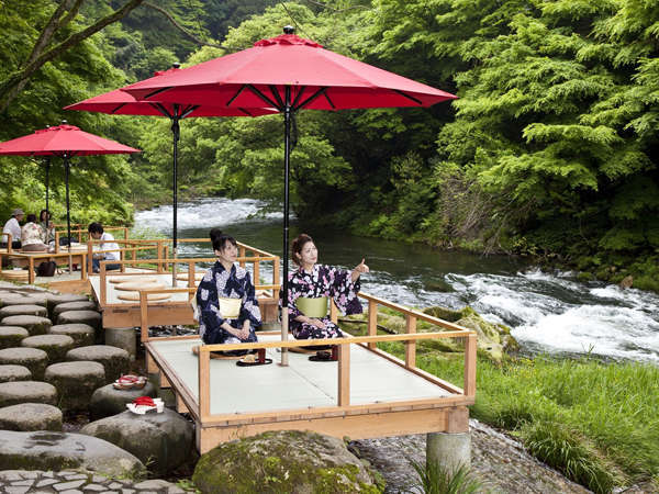 加賀料理と源泉かけ流しの宿 山中温泉 すゞや今日楼 宿泊予約は じゃらんnet