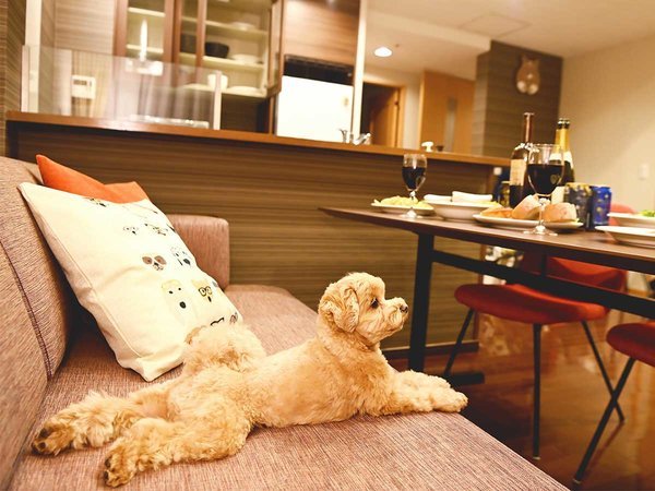 ���}�o�P�[�V�����Y�y���F����Ɠ������K�ȋ��