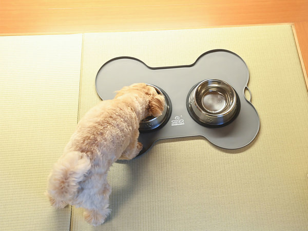 ���}�o�P�[�V�����Y�y���F�����p�̃A���j�e�B�ւ̔z�������S