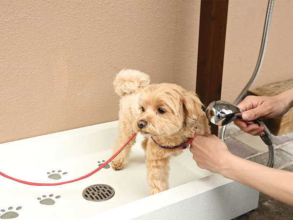 ���}�o�P�[�V�����Y�y���F�߂����₷����