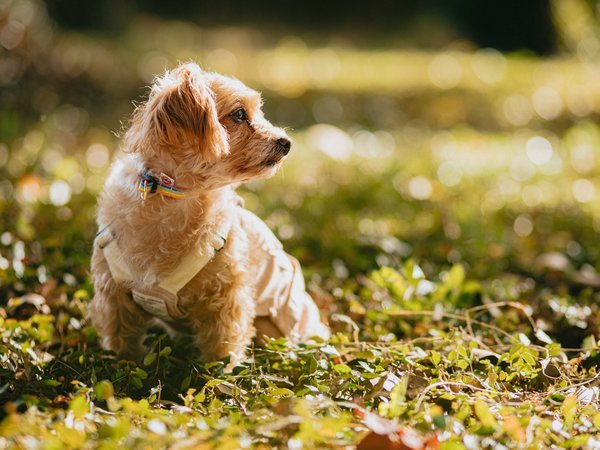 �j�`�q�d�m�@�݂Ȃ��݁@�����݂̗��@���������@�c�����̎{�ݎʐ^