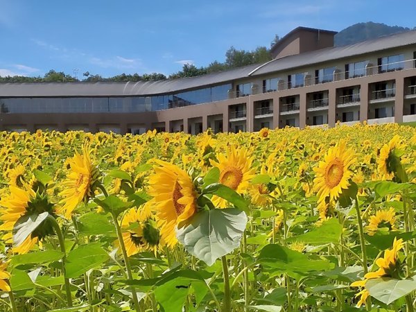 �x�ǖ�z�e���@Furano Hotel�̎{�ݎʐ^1
